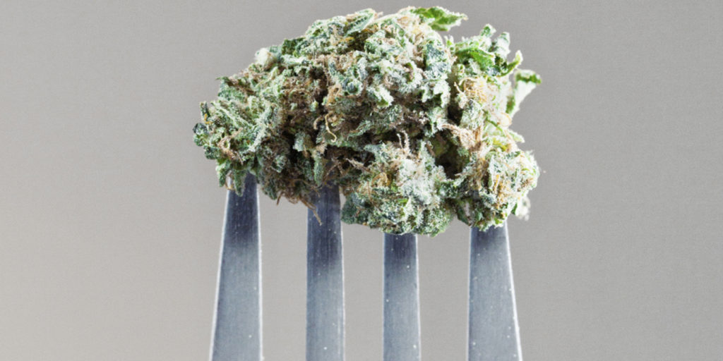 La Cannabis in cucina: ecco i limiti di THC consentiti nell’alimentazione
