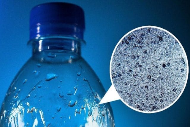 Microplastiche: ne mangiamo 5 grammi a settimana! La lista dei cibi più contaminati