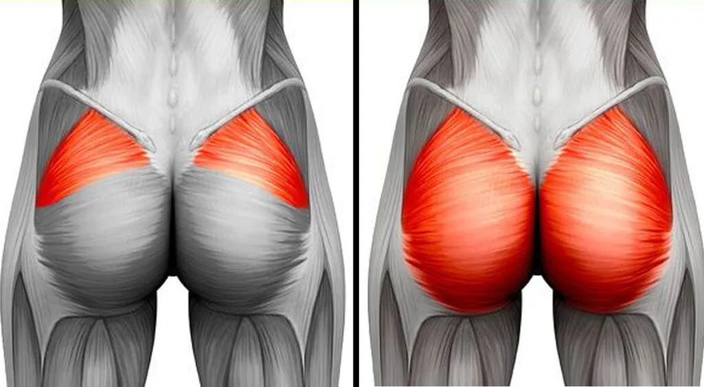 L’esercizio perfetto 3 in 1 che scolpisce glutei, pancia e gambe