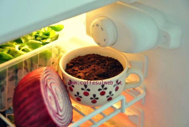 Fondi di caffè nel frigo