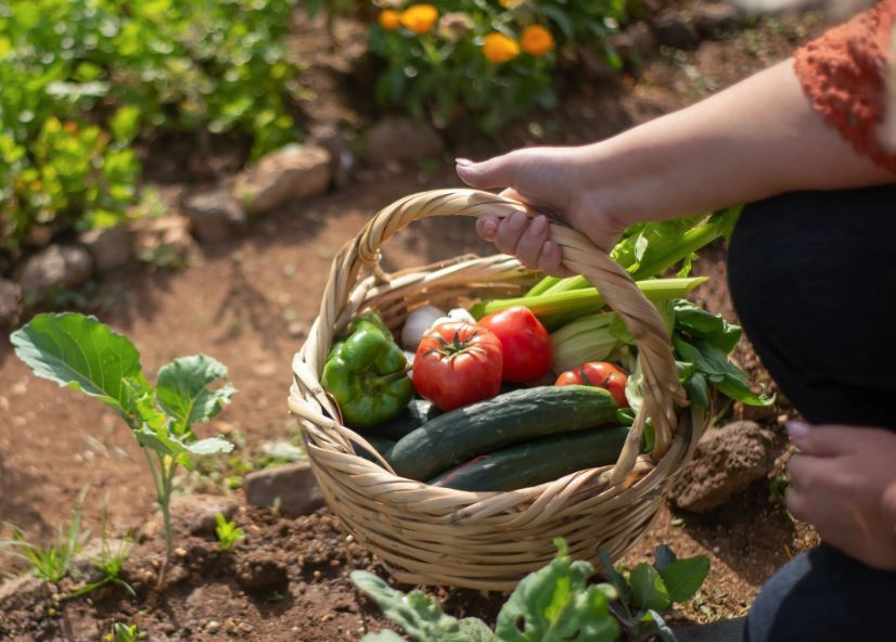 Frutta e verdura a maggio