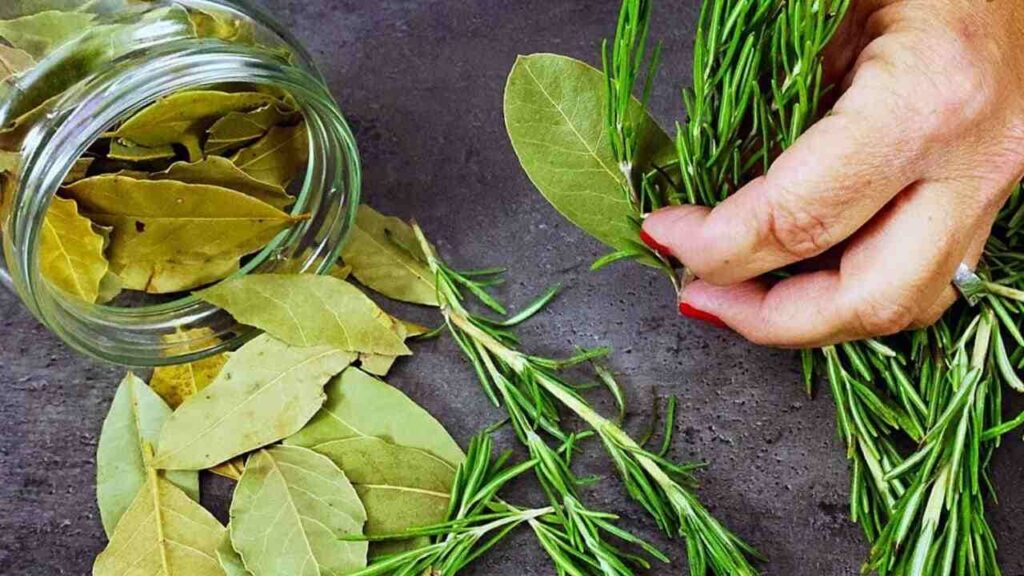 L’antico rimedio naturale per vene ingrossate e capillari rotti, “vale oro”: non ci rinuncerai più!