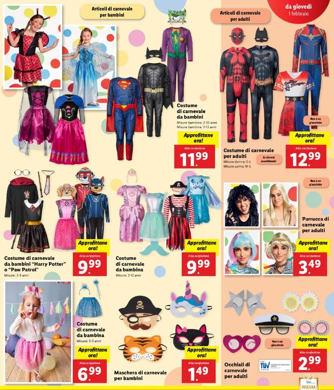 Costumi di Carnevale offerta Lidl