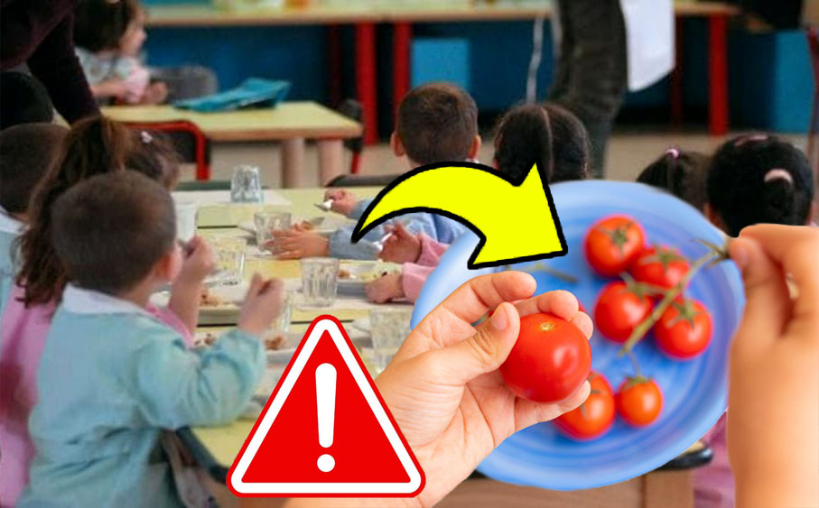E’ allerta nelle scuole, oltre 100 bambini intossicati dopo aver mangiato pomodorini (forniti dal Ministero)!
