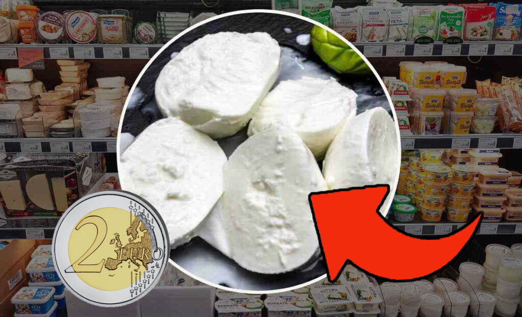 Mozzarella, lasciate perdere tutte le altre marche: sono queste le migliori da mettere nel carrello | La classifica del Gambero Rosso