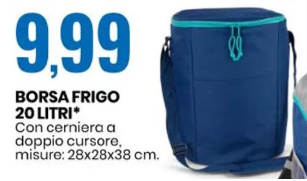 Borsa frigo Eurospin