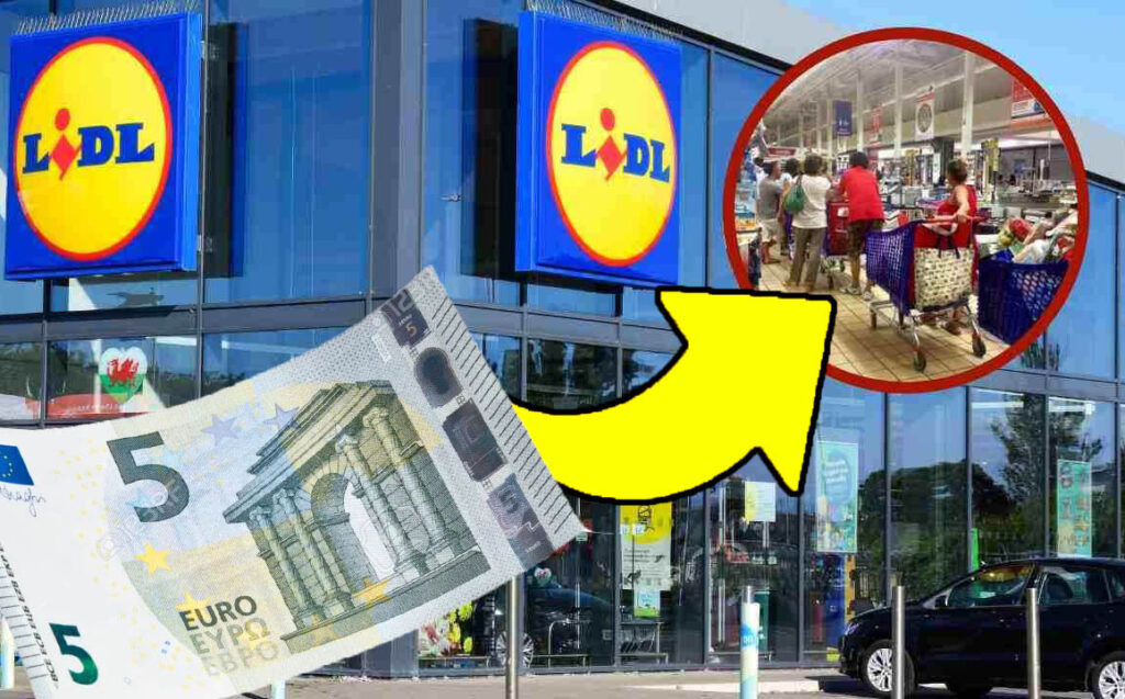 Di solito costano di più, per fortuna sono ancora in tempo per prendere quelli a 5 euro da Lidl!