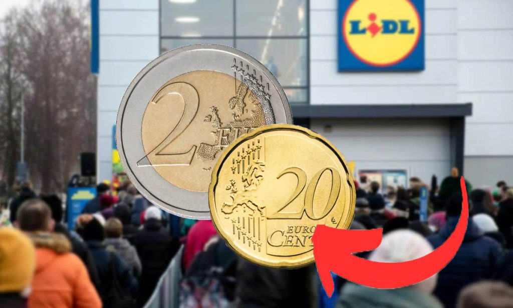 Costano 2,19 euro da Lidl, ne ho prese 4: devo dire che non sono niente male | E’ stata una fortuna trovarle!