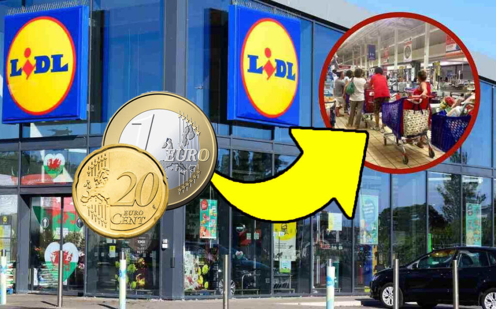 Prendi 2 e ne paghi solo 1, ora c’è la grandissima offerta da Lidl e sono corsa subito a comprarli!