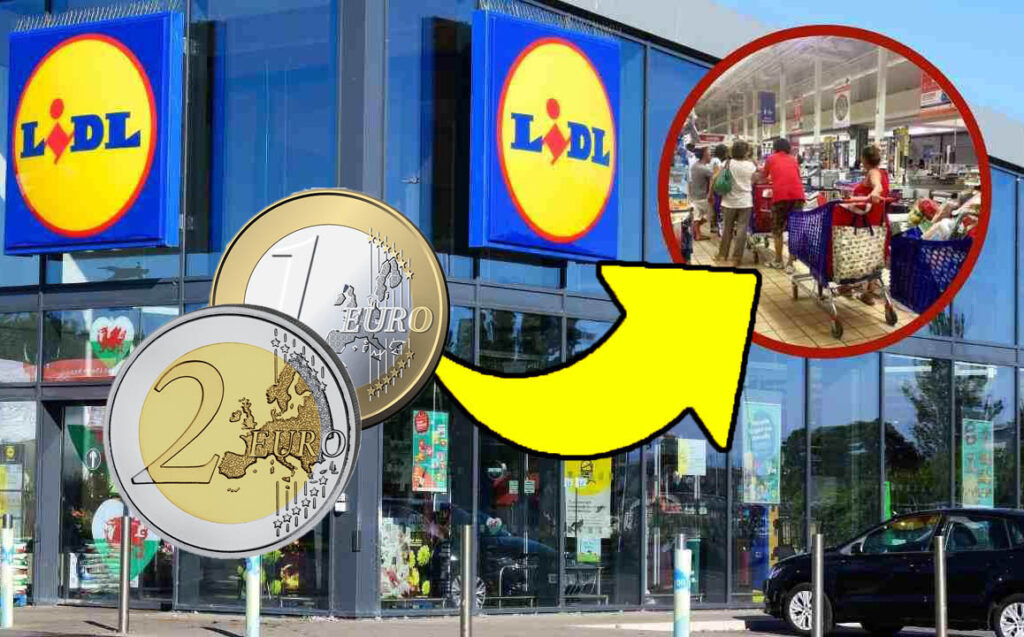 Mai visti in nessun altro negozio, li ho trovati da Lidl a 2,99 euro e ne ho presi 3 pacchi: non sono niente male!