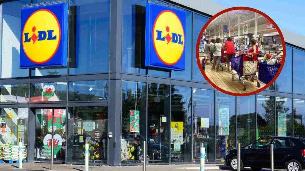 Non appena ho visto il volantino di Lidl sono corsa a fare la spesa, sconti fino al 33%: ho risparmiato tantissimo!