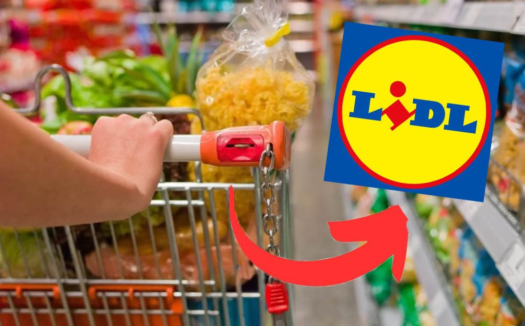 Tutto in offerta a pochi euro | Ho riempito il carrello questa settimana e ho risparmiato tanti soldi da Lidl!