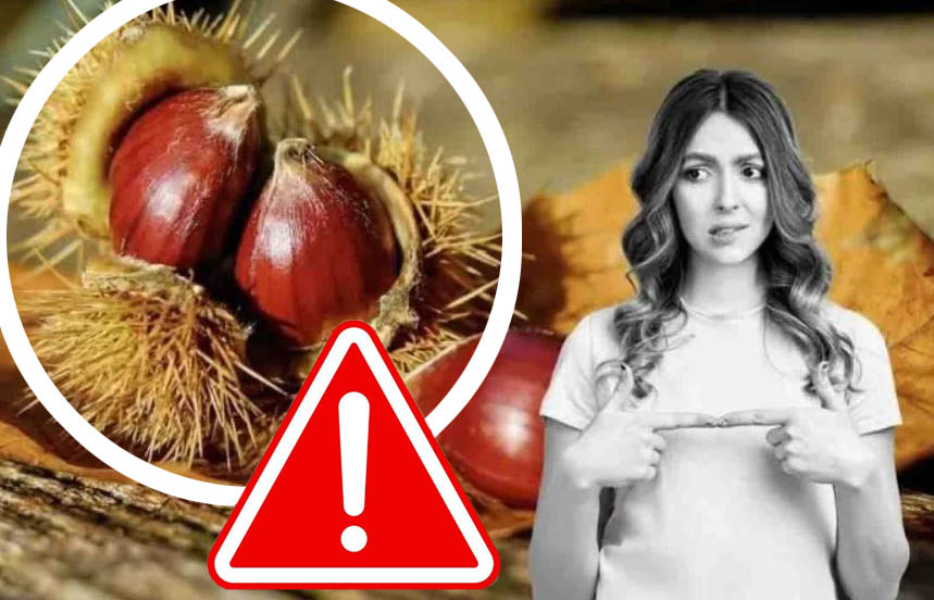 Castagne, fai molta attenzione a queste varietà velenosissime: non dovresti mai mangiarle!