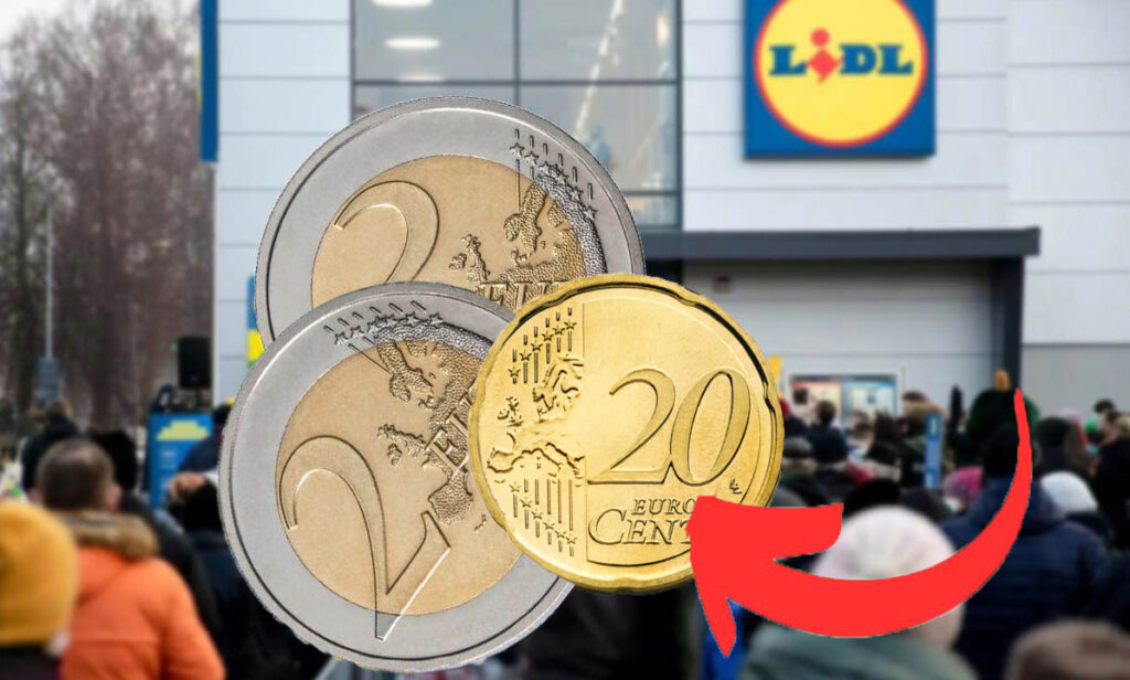 Non ci credevo ma stavano in vendita a poco più di 4 euro da Lidl, molto meno rispetto all’anno scorso: ne ho presi un bel po’!