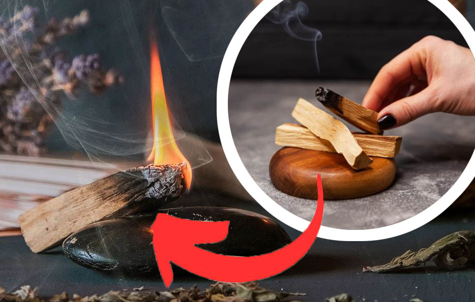 Palo santo, è da anni che faccio questo rituale ogni mese: purifico la casa e mi sento subito meglio e rilassata!