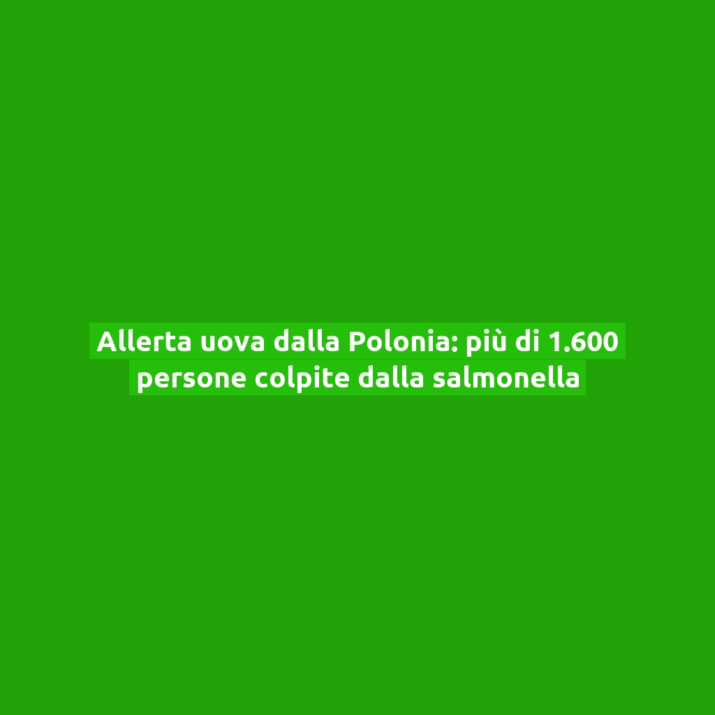 Allerta uova dalla Polonia: più di 1.600 persone colpite dalla salmonella