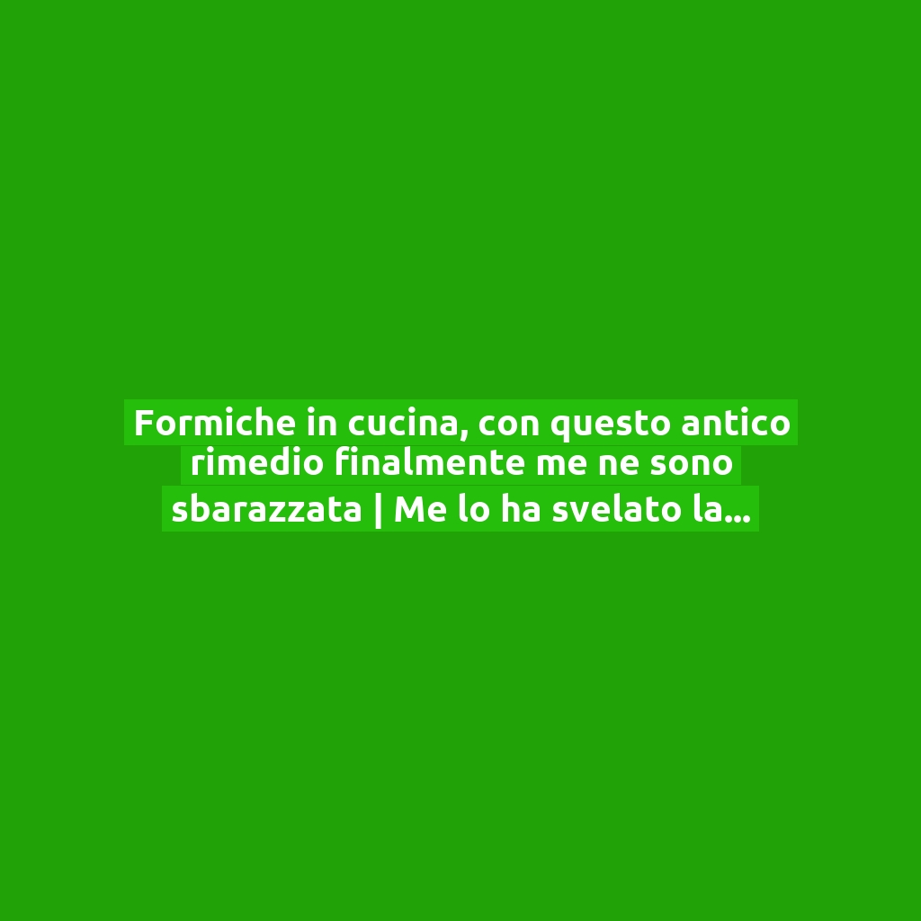 Formiche in cucina, con questo antico rimedio finalmente me ne sono sbarazzata | Me lo ha svelato la mia nonna!