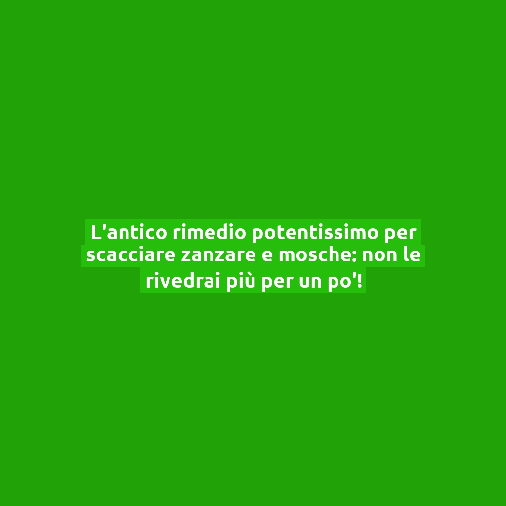 L’antico rimedio potentissimo per scacciare zanzare e mosche: non le rivedrai più per un po’!