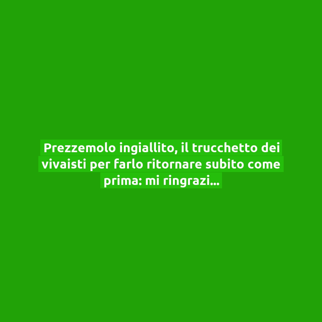 Prezzemolo ingiallito, il trucchetto dei vivaisti per farlo ritornare subito come prima: mi ringrazierai!