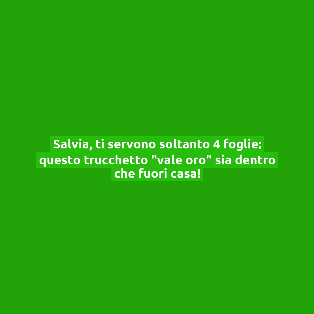 Salvia, ti servono soltanto 4 foglie: questo trucchetto “vale oro” sia dentro che fuori casa!